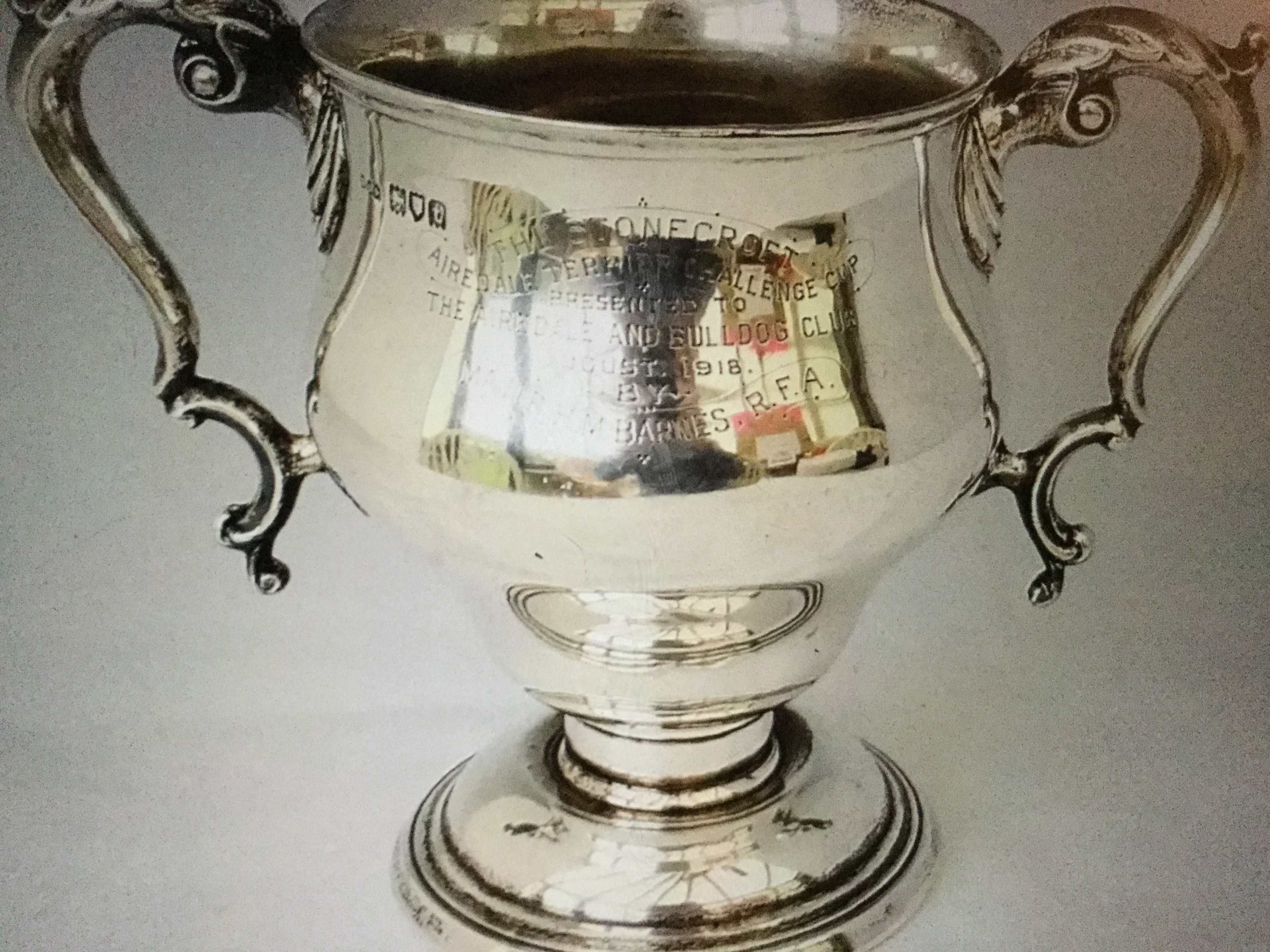 Prayers answered our first English trophy piece 9 Bulldog museum Brighton