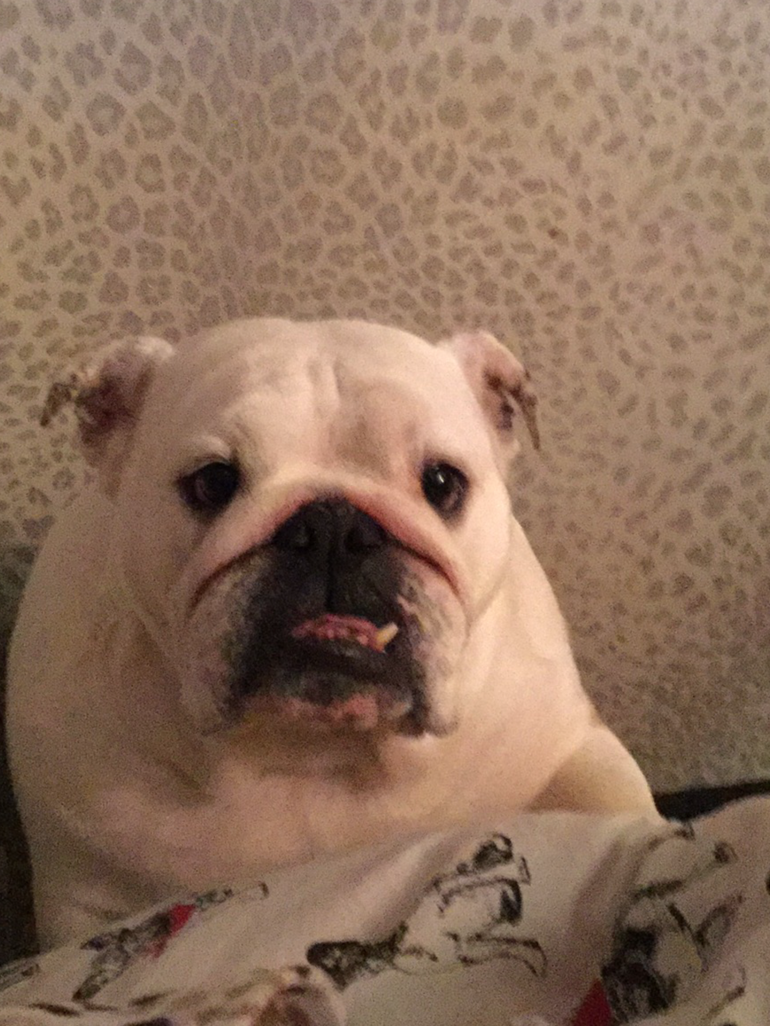 Wiggles finally settled, blogging prayers heard 13 Hey folks remember we have a routine now