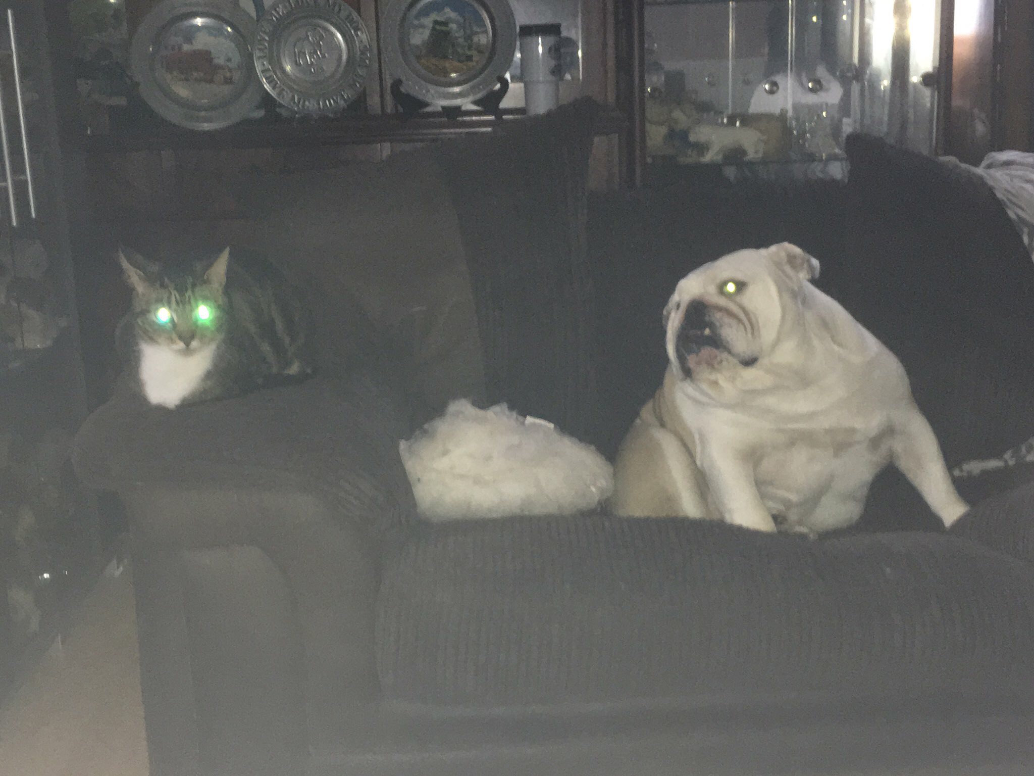 Wiggles finally settled, blogging prayers heard 14 A mutual peace of sorts