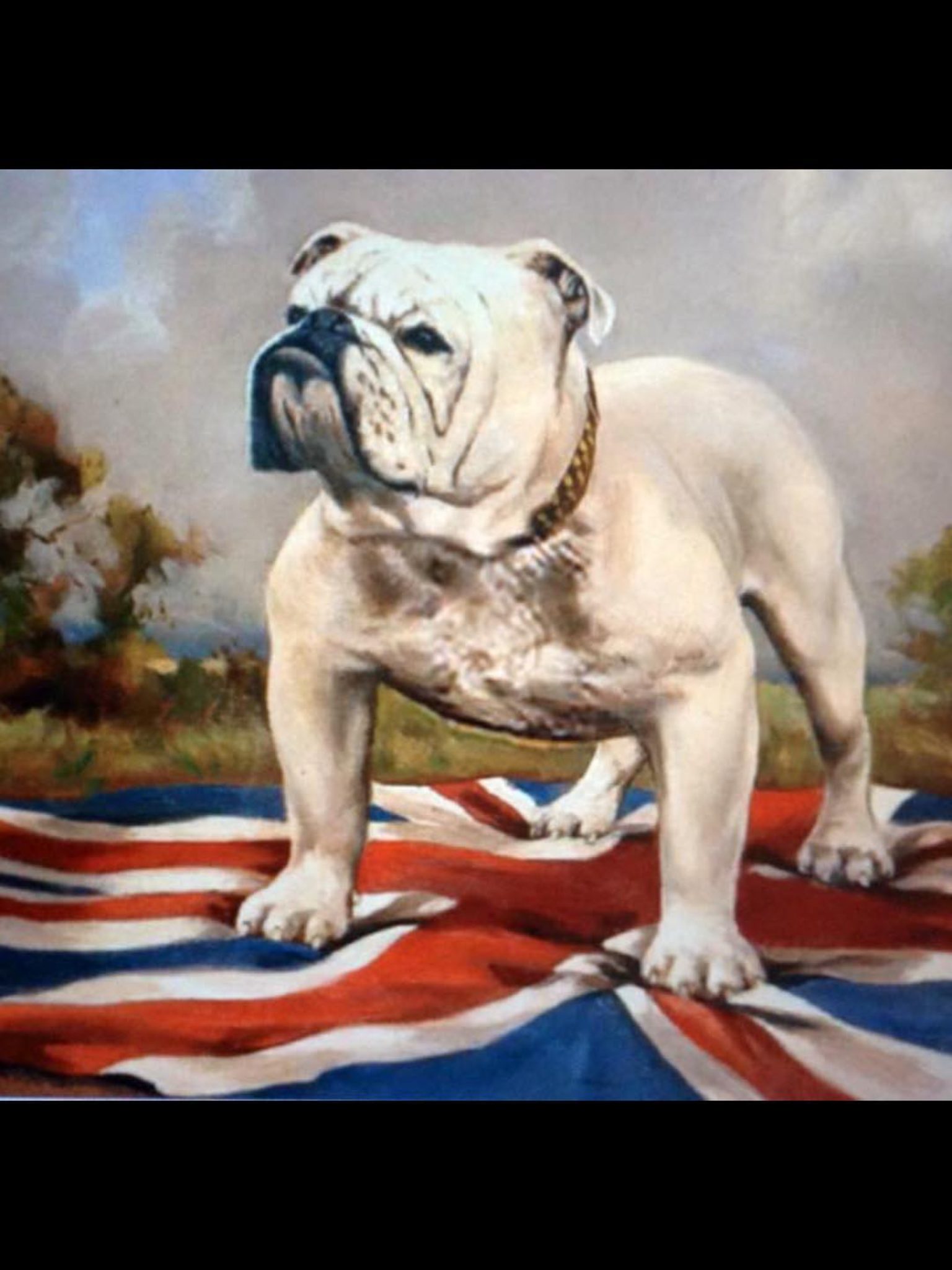 winston churchill bulldog painting