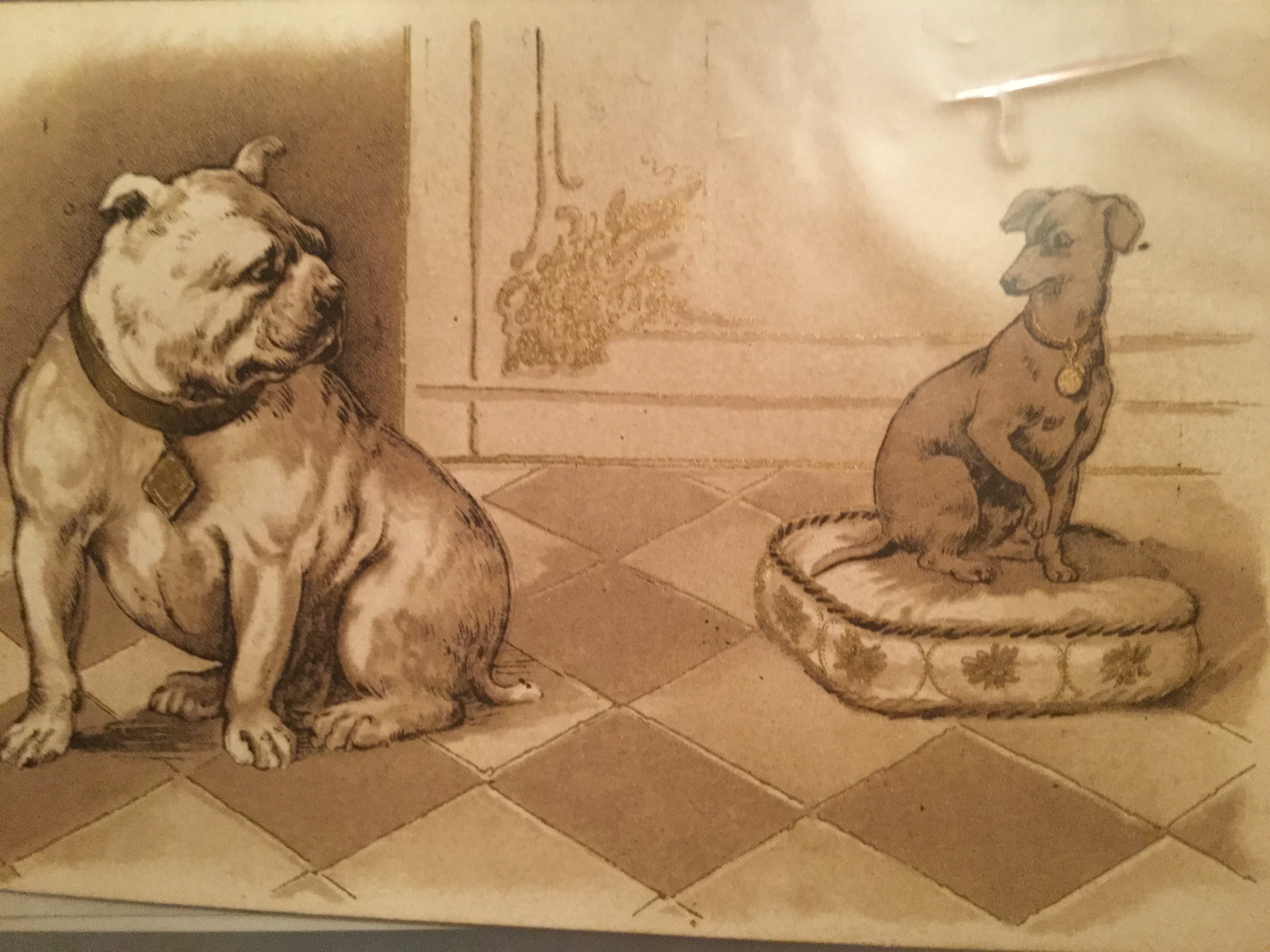 The Bulldog Spirit a friendly explanation 33 Propaganda postcard