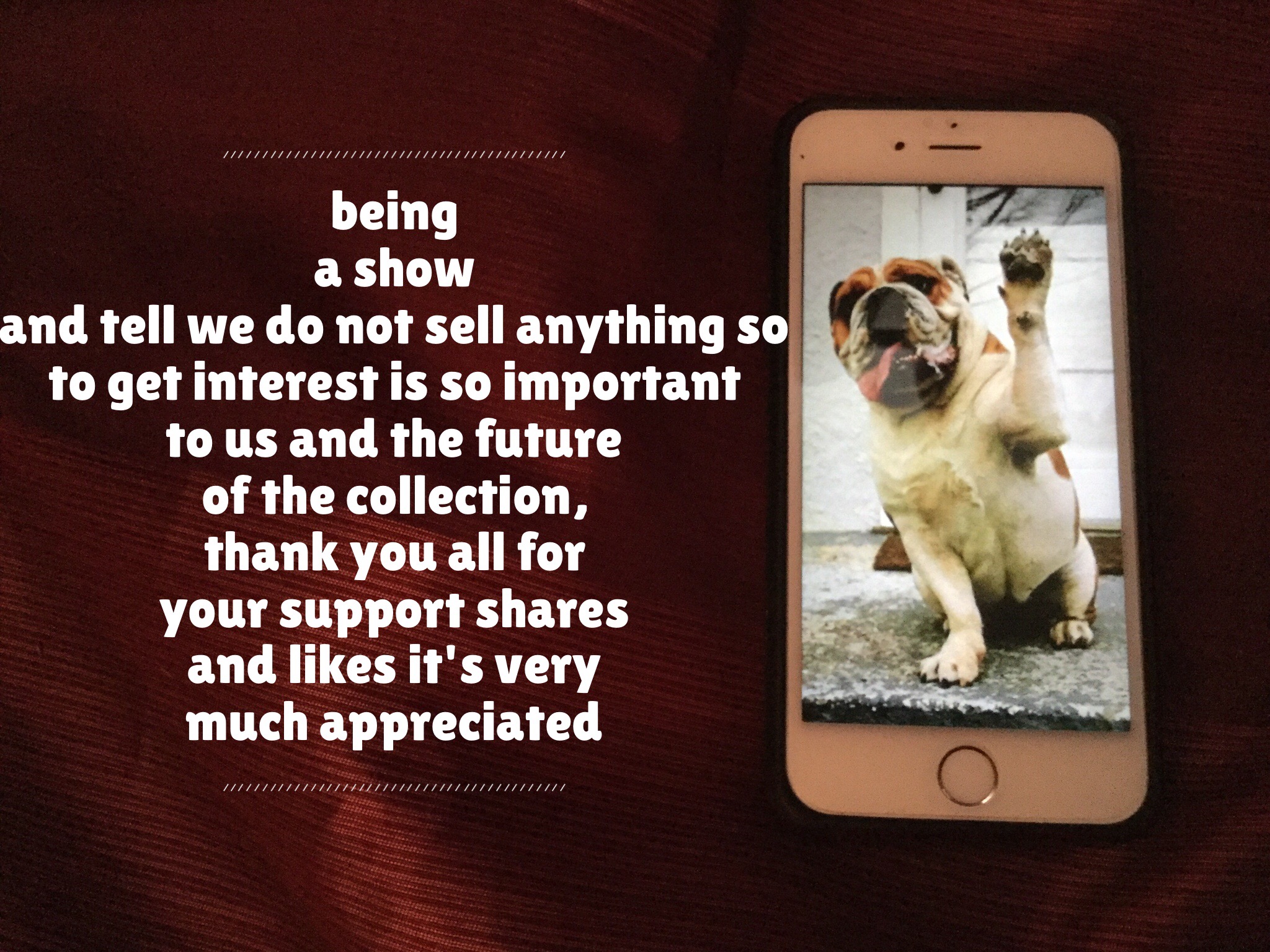 The Bulldog Spirit a friendly explanation 37 Thank you