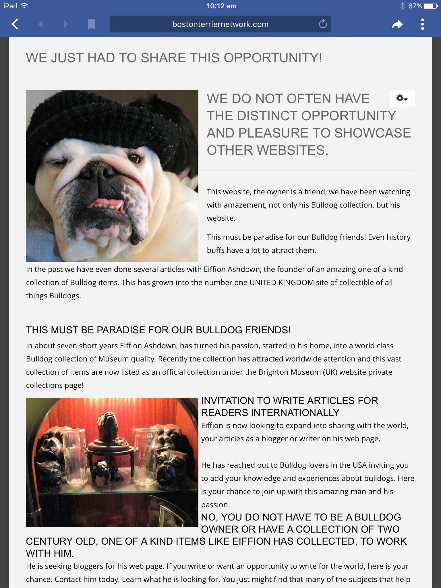 Wiggles finally settled, blogging prayers heard 19 Bulldog museum Brighton