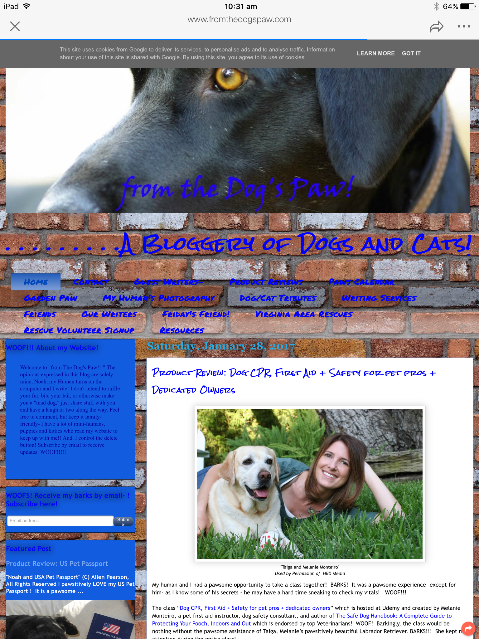 Wiggles finally settled, blogging prayers heard 18 Empathy and compassion ooze from this site