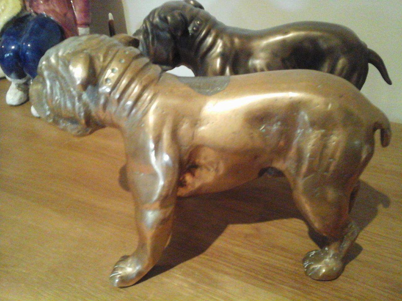 Vocation Bulldog
