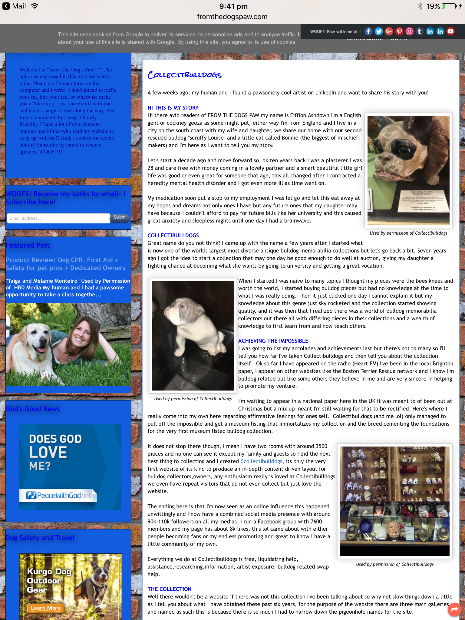 Twitter verify Collectibulldogs please 15 Twitter verify