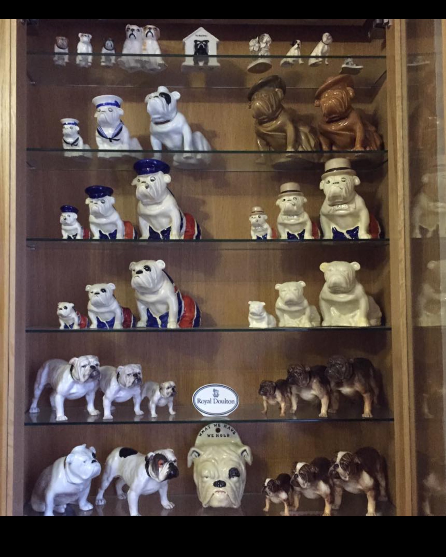 Bulldog museum Brighton