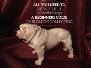 Learn How To Collect – FREE Ebook