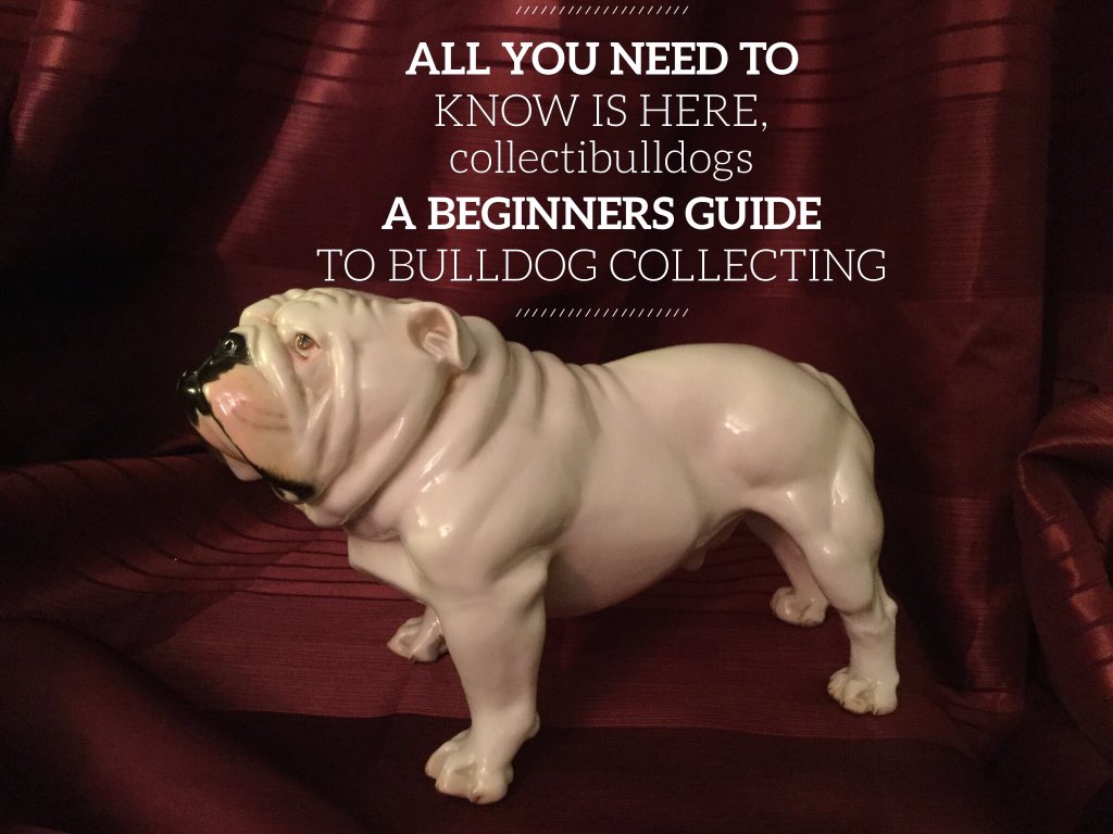 Our ebook needs you to become top dog ! 3 Top dog