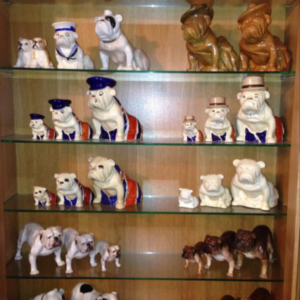 Bulldog museum Brighton