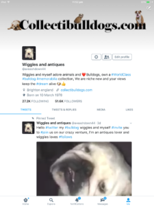 News! Collectibulldogs general catch up 7 New