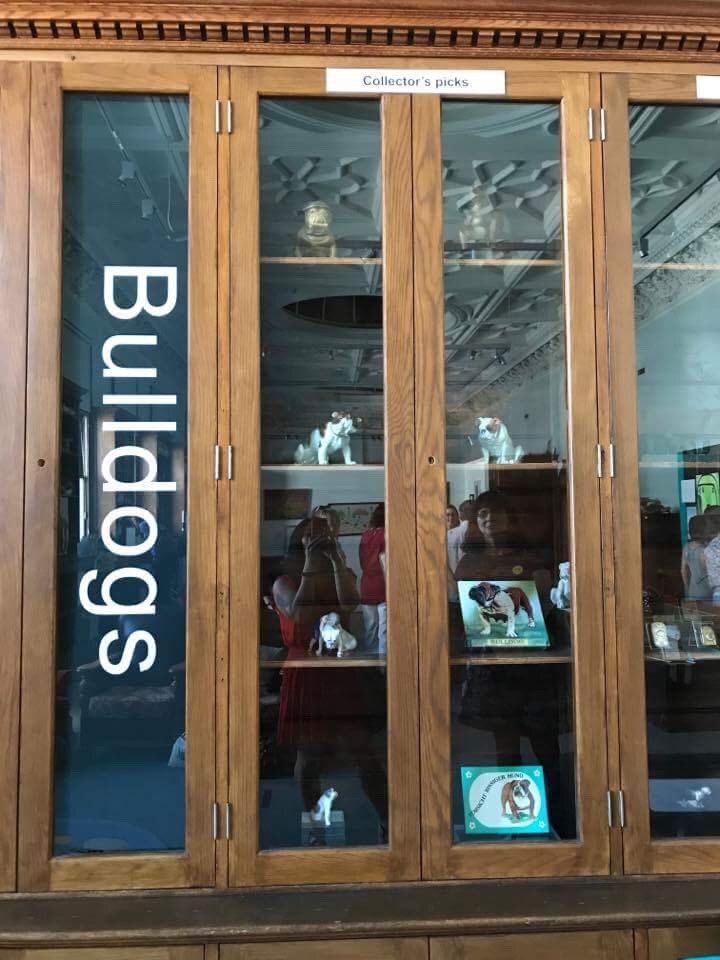 The Exhibition of Bulldogs wife's thoughts 20 Wife's