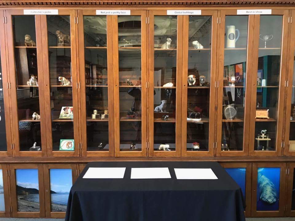 The Exhibition of Bulldogs wife's thoughts 14 Exhibition