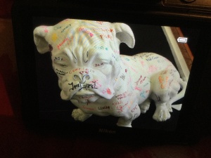 OBE Our Bulldog Exhibition 40 Exhibition