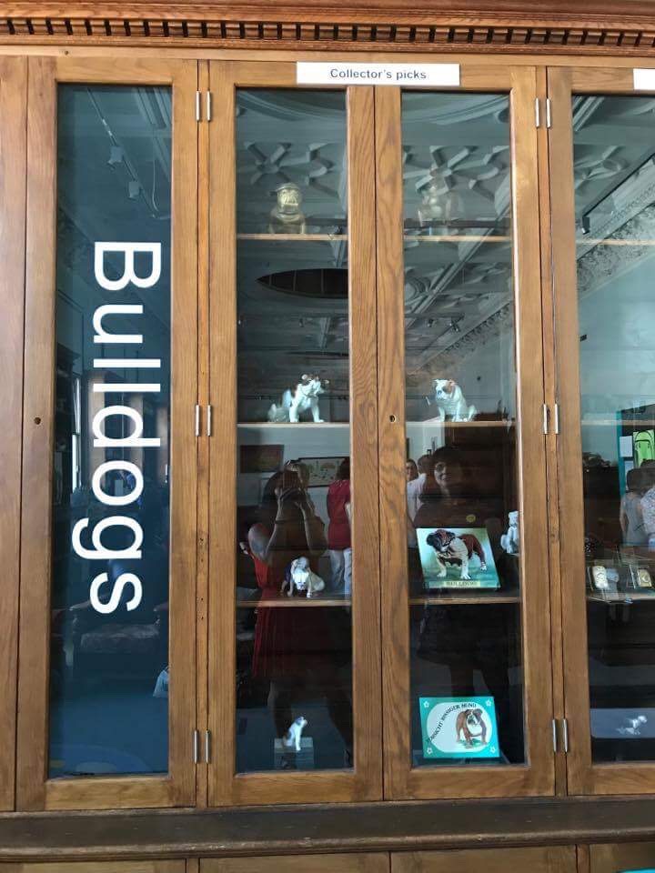 Bulldog museum Brighton