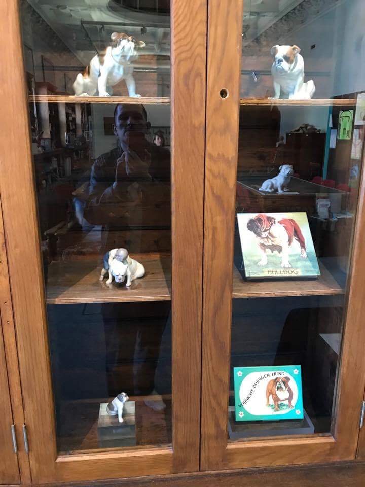 Bulldog museum Brighton