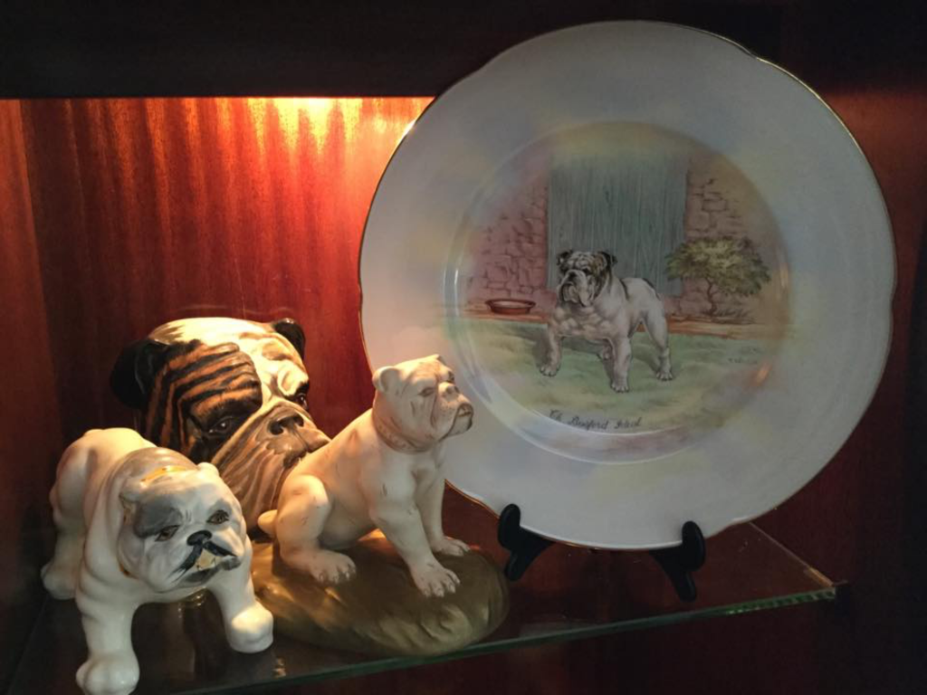 OCD collectibulldogs youtube mission 14 Youtube