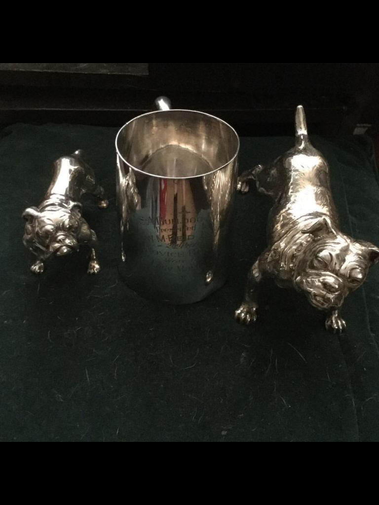 OCD collectibulldogs youtube mission 16 Bulldog museum Brighton