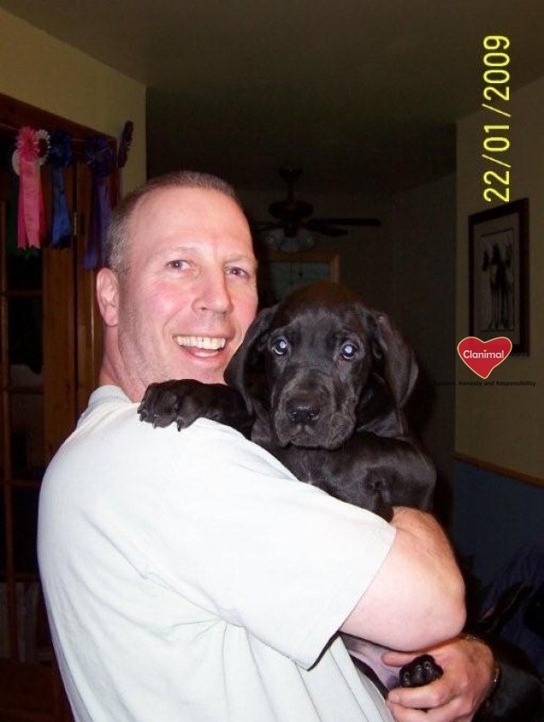 Guest post clanimal.com introduction 3 Clanimal