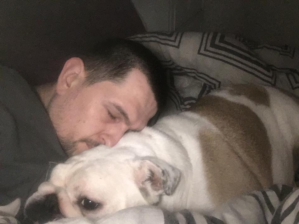 Congratulations collectibulldogs 100k visits 8 COLLECTIBULLDOGS