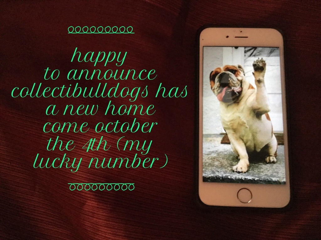 PAWSOME NEWS, RATINGS AND REVIEWS 17 News