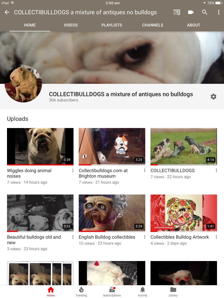 PAWSOME NEWS, RATINGS AND REVIEWS 26 News