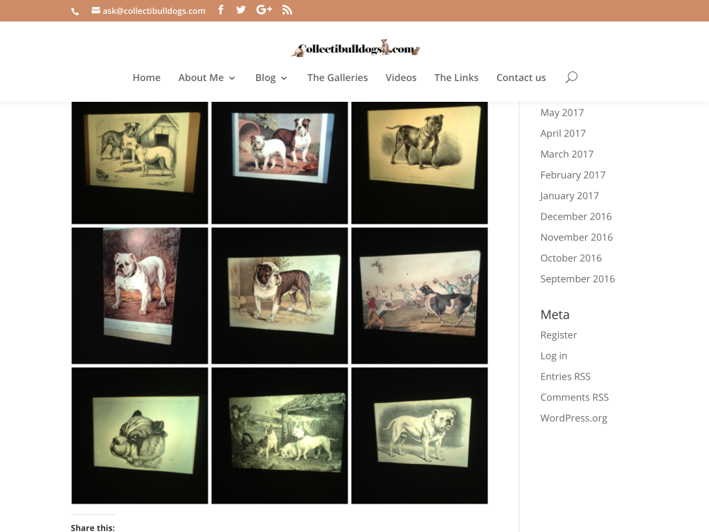 NEW BEGINNINGS BECKON 15 Bulldog history or profit
