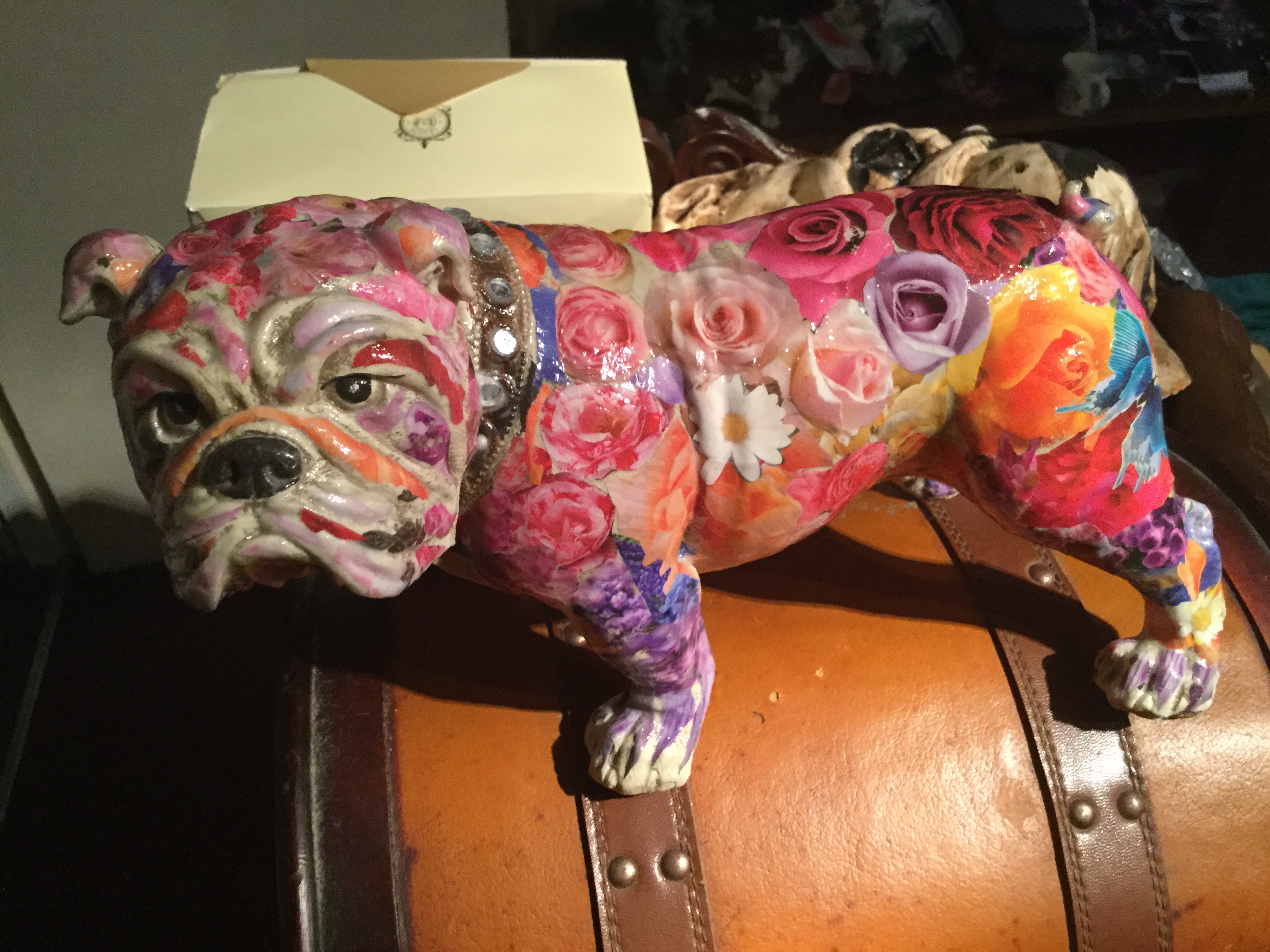 Bulldog displays totally suggestive 12 Displays