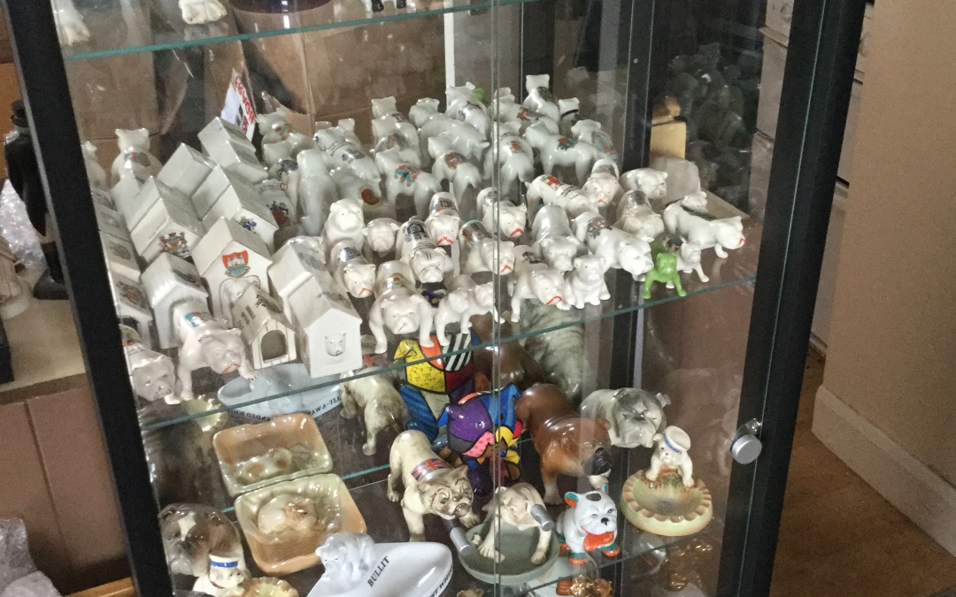 Bulldog antiques Displays