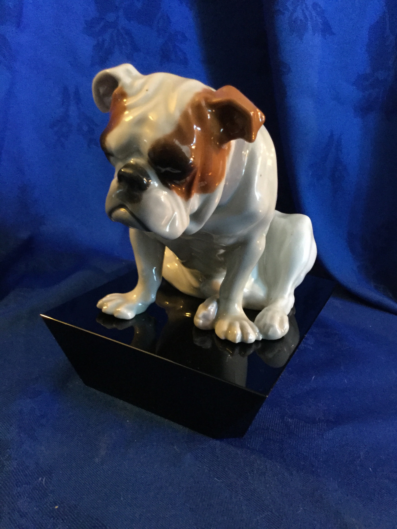 A bulldog collectors story so far 3 Bulldog collectors