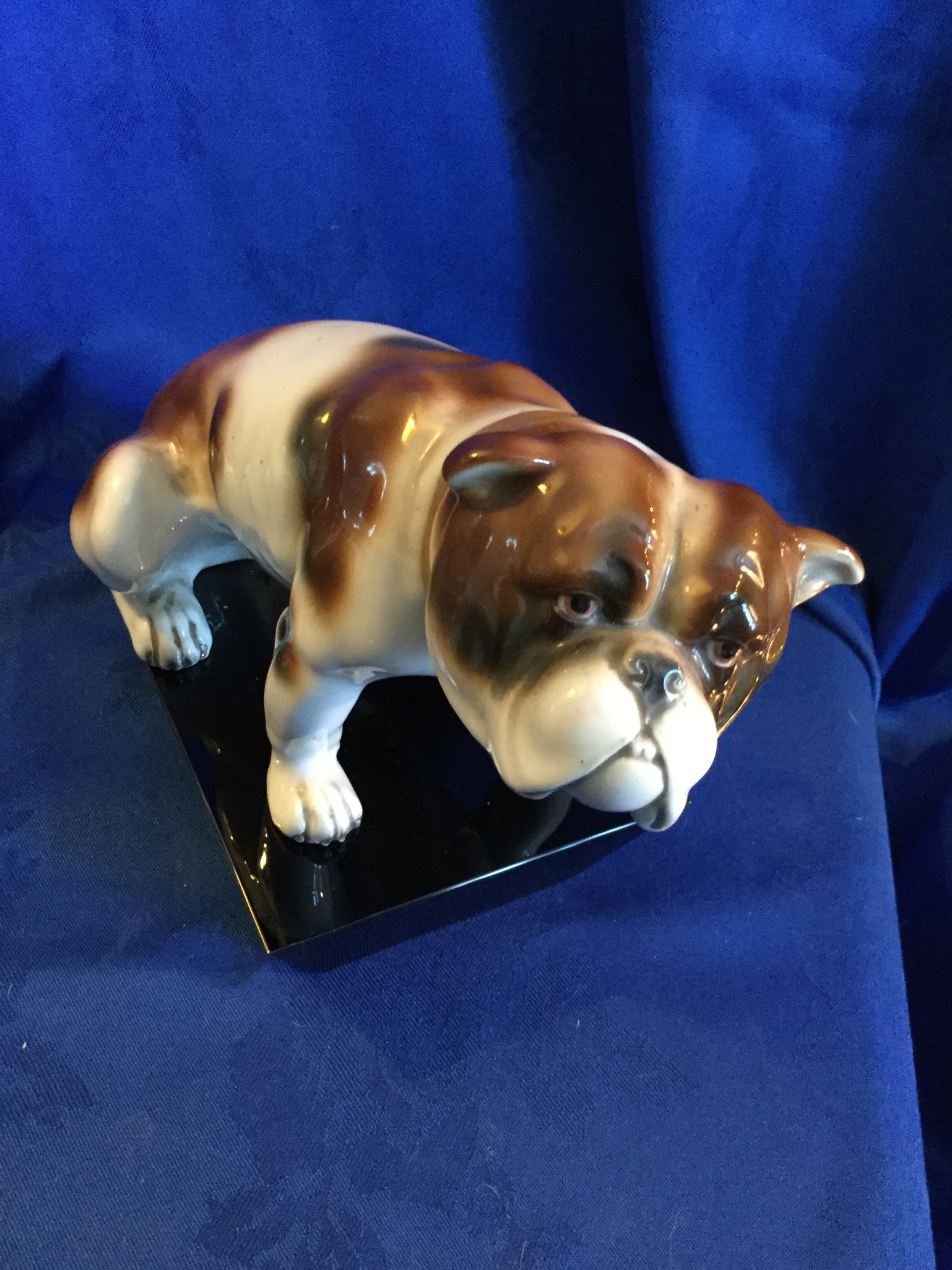 A bulldog collectors story so far 4 Bulldog collectors