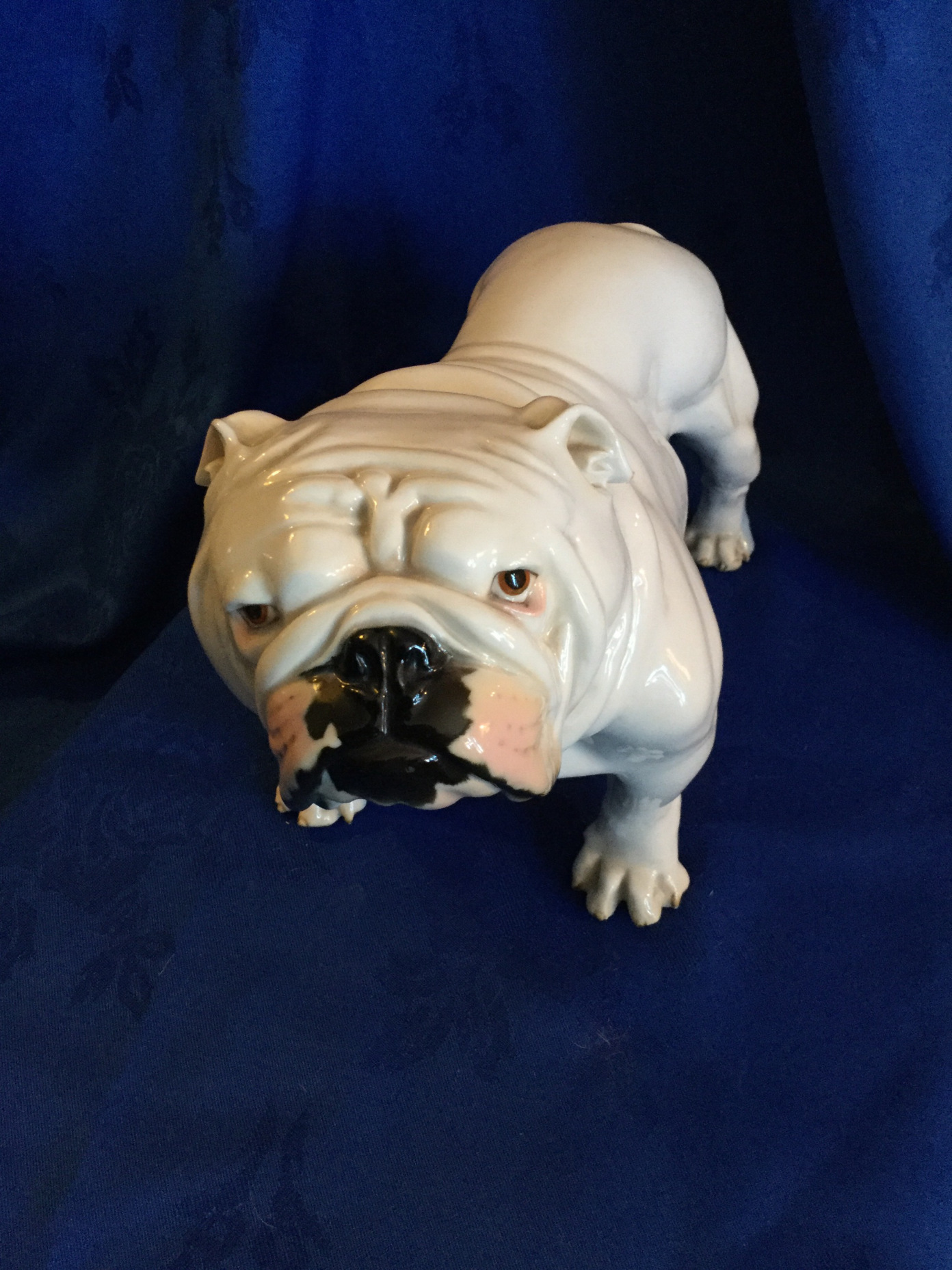 A bulldog collectors story so far 1 Bulldog collectors