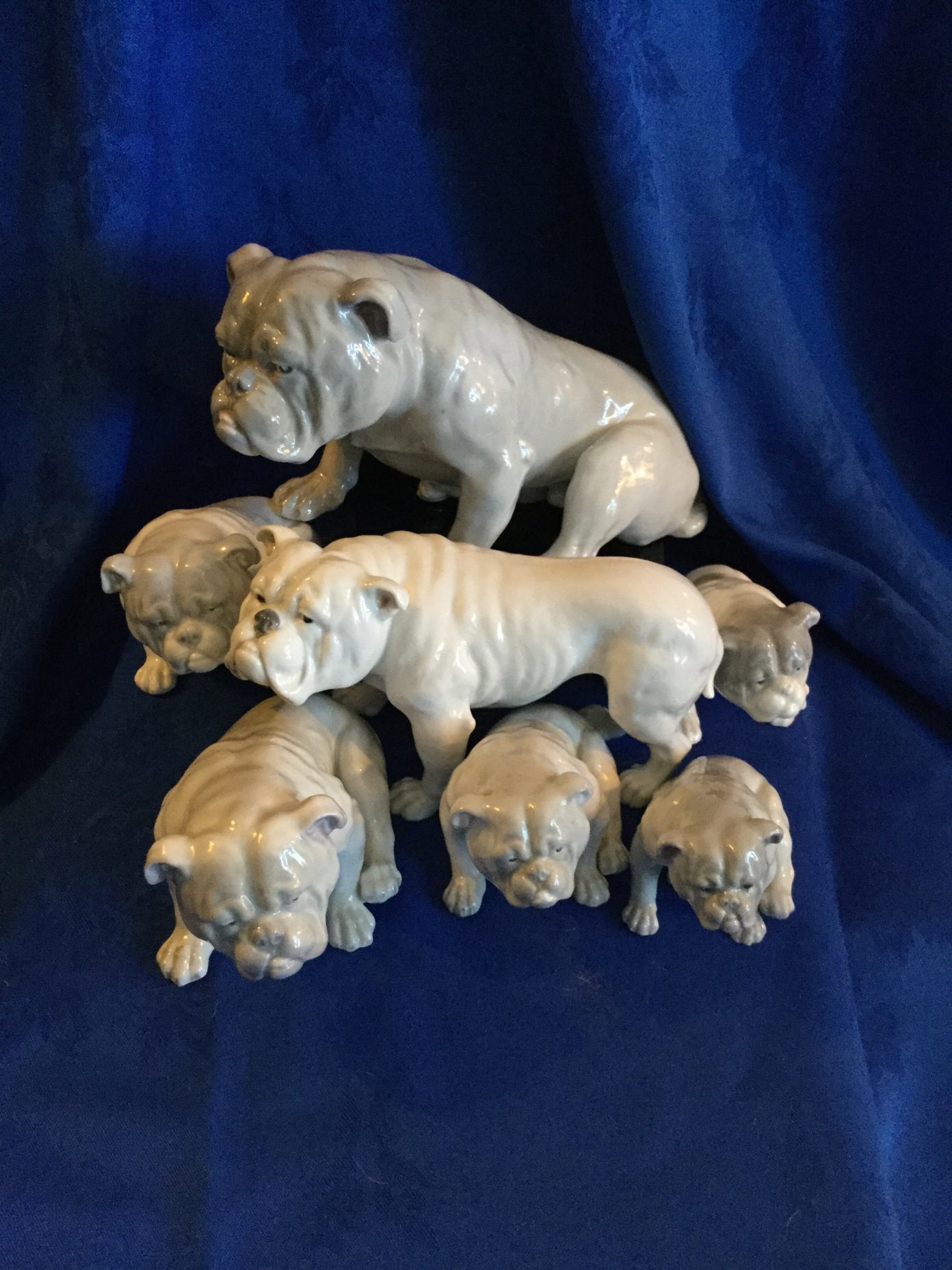 A bulldog collectors story so far 2 Bulldog collectors