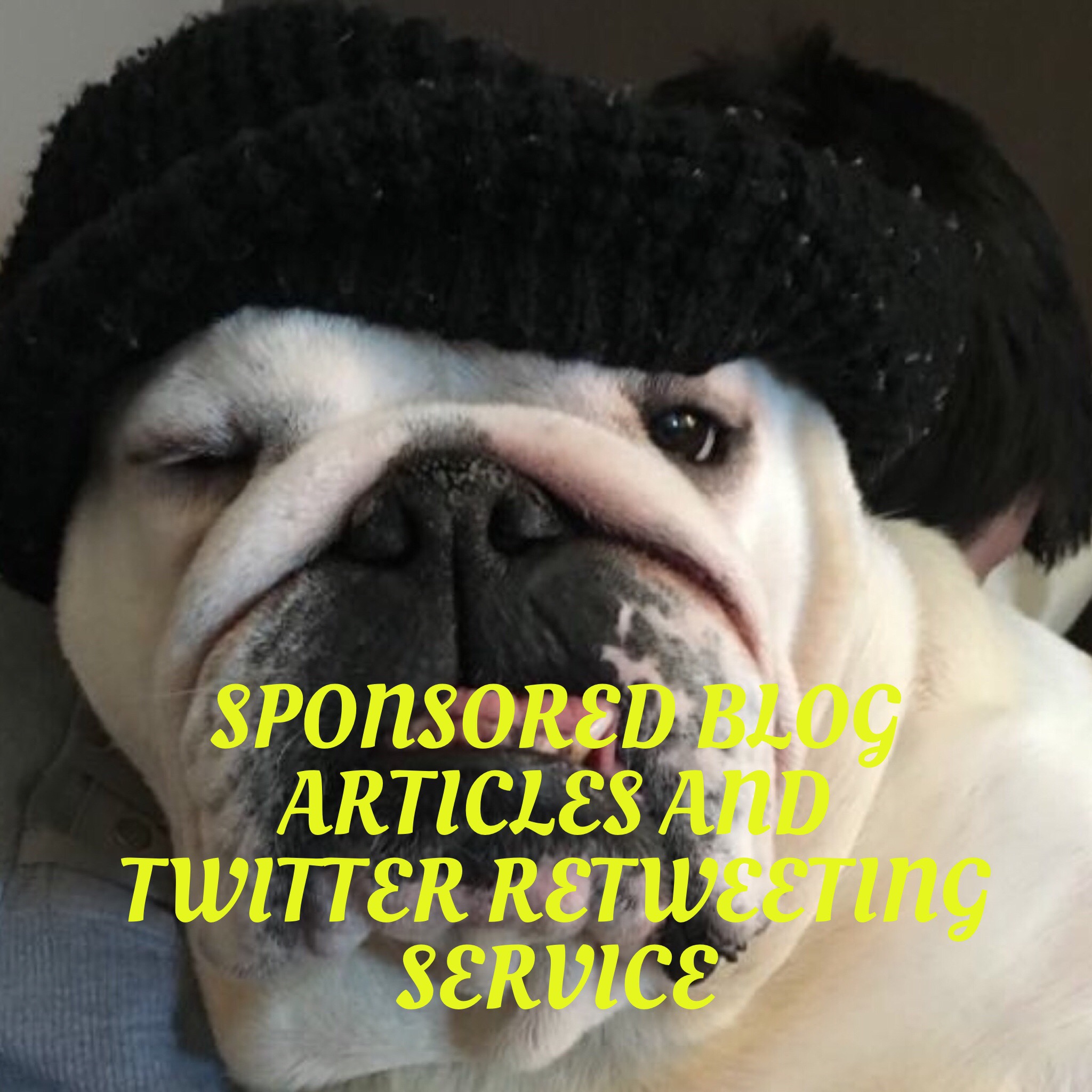 Sponsored blogs bulldog style 5 Sponsored blogs