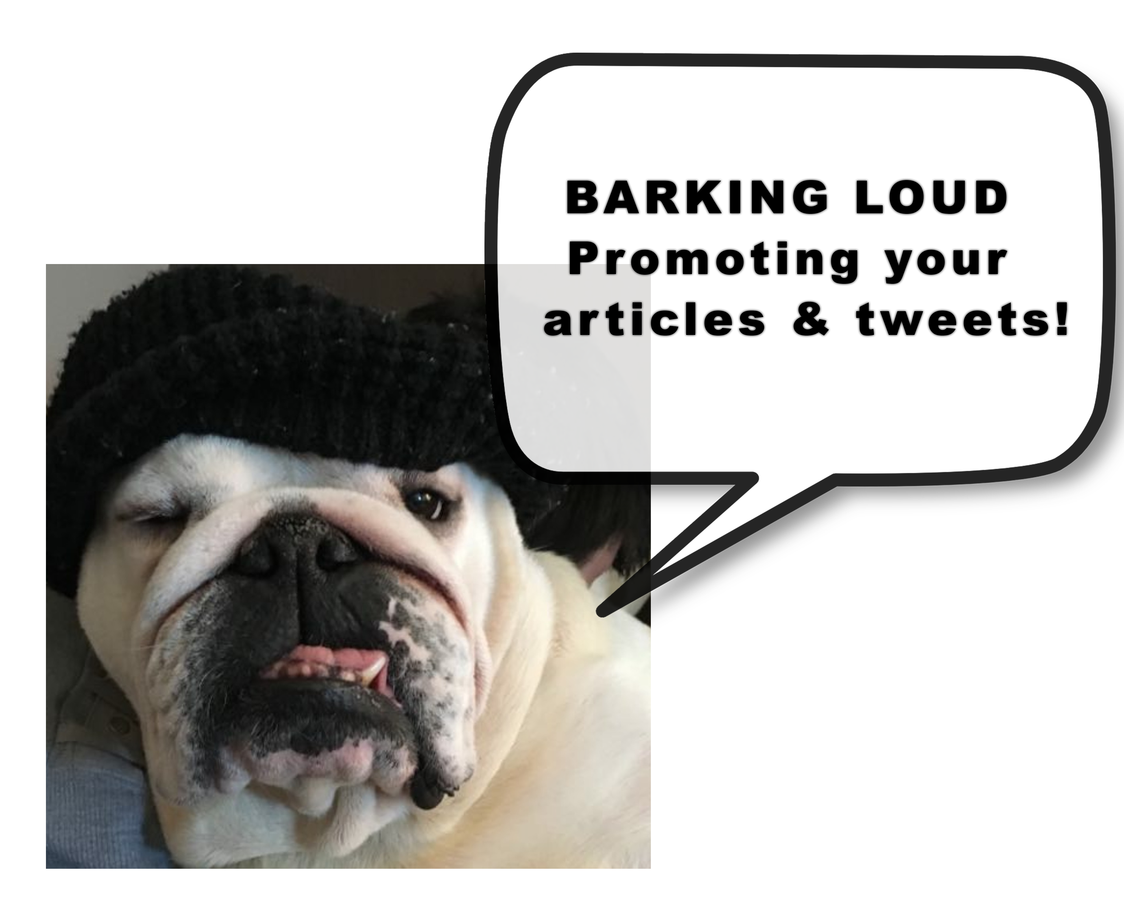 Blog loving Blog loving