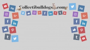 Collectibulldogs.com