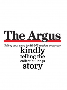 The Brighton Argus / Prelude Monday’s article