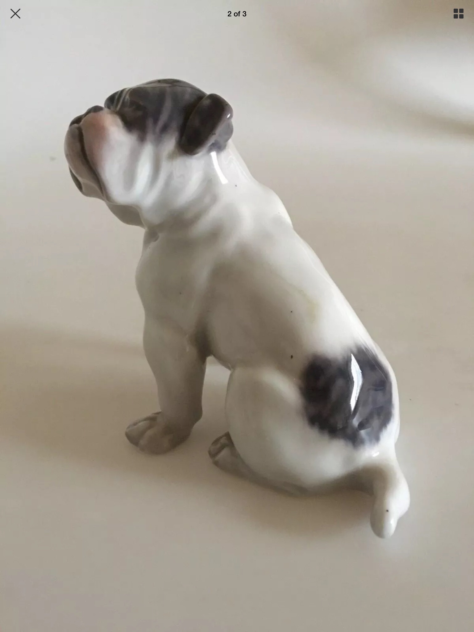 A selection of bulldog perfection 2022 29 Royally understated