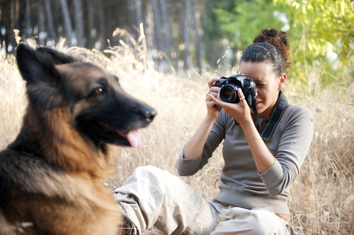 How to take a great headshot portrait of your dog