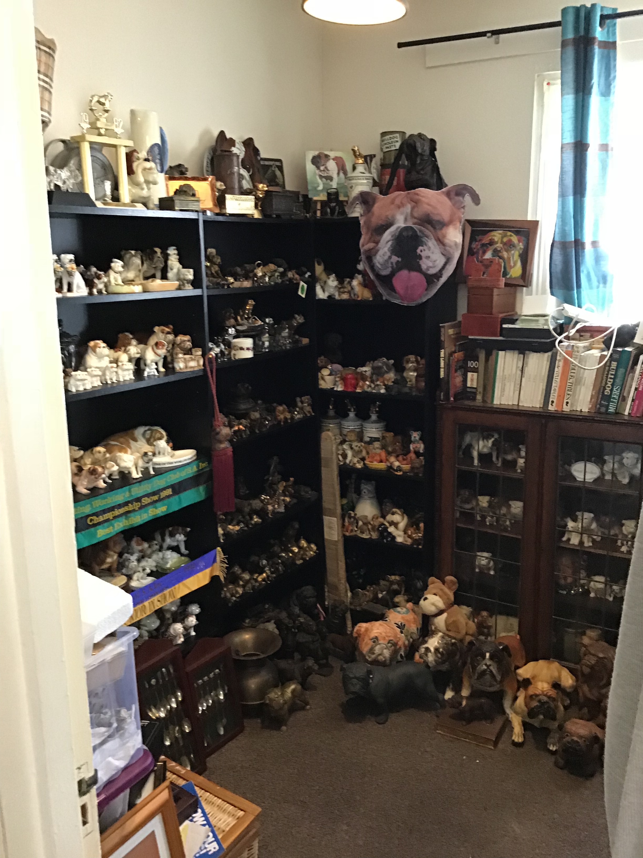 Room to move Collectibulldogs our collection 7 The collection
