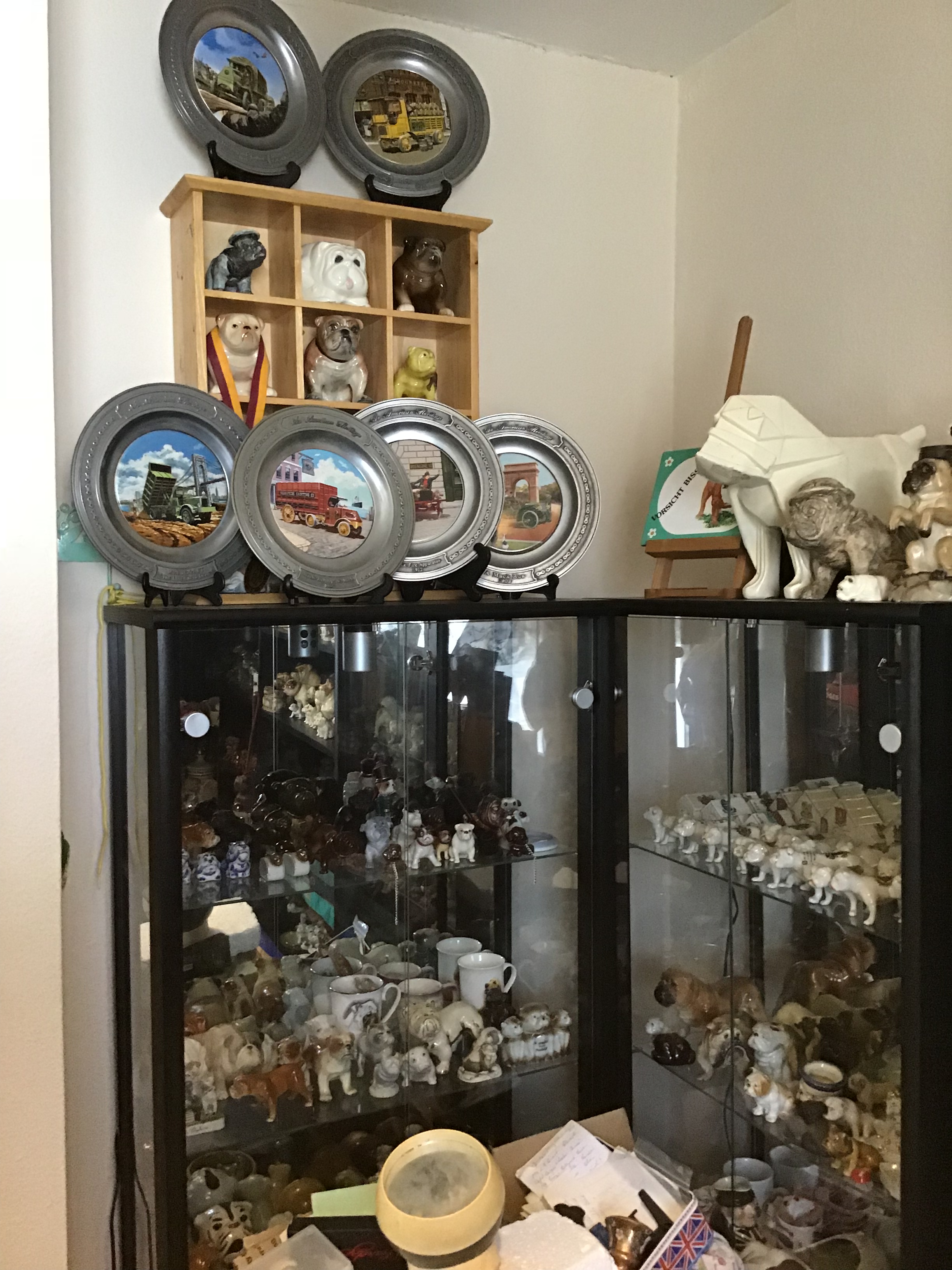Room to move Collectibulldogs our collection 10 The collection