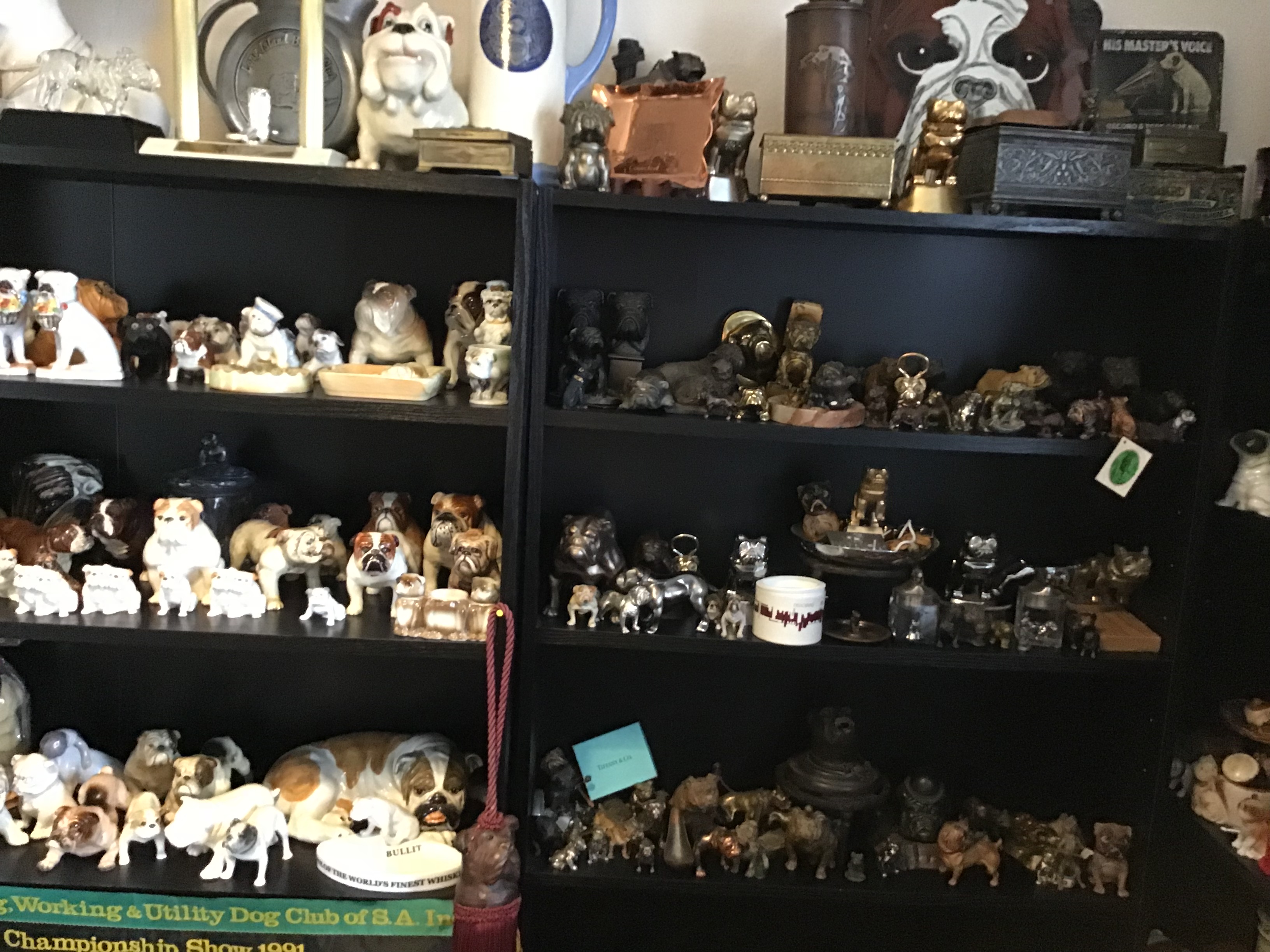 Room to move Collectibulldogs our collection 11 The collection