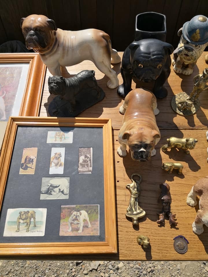 Collectibulldogs contacts third time lucky 15 Third time lucky