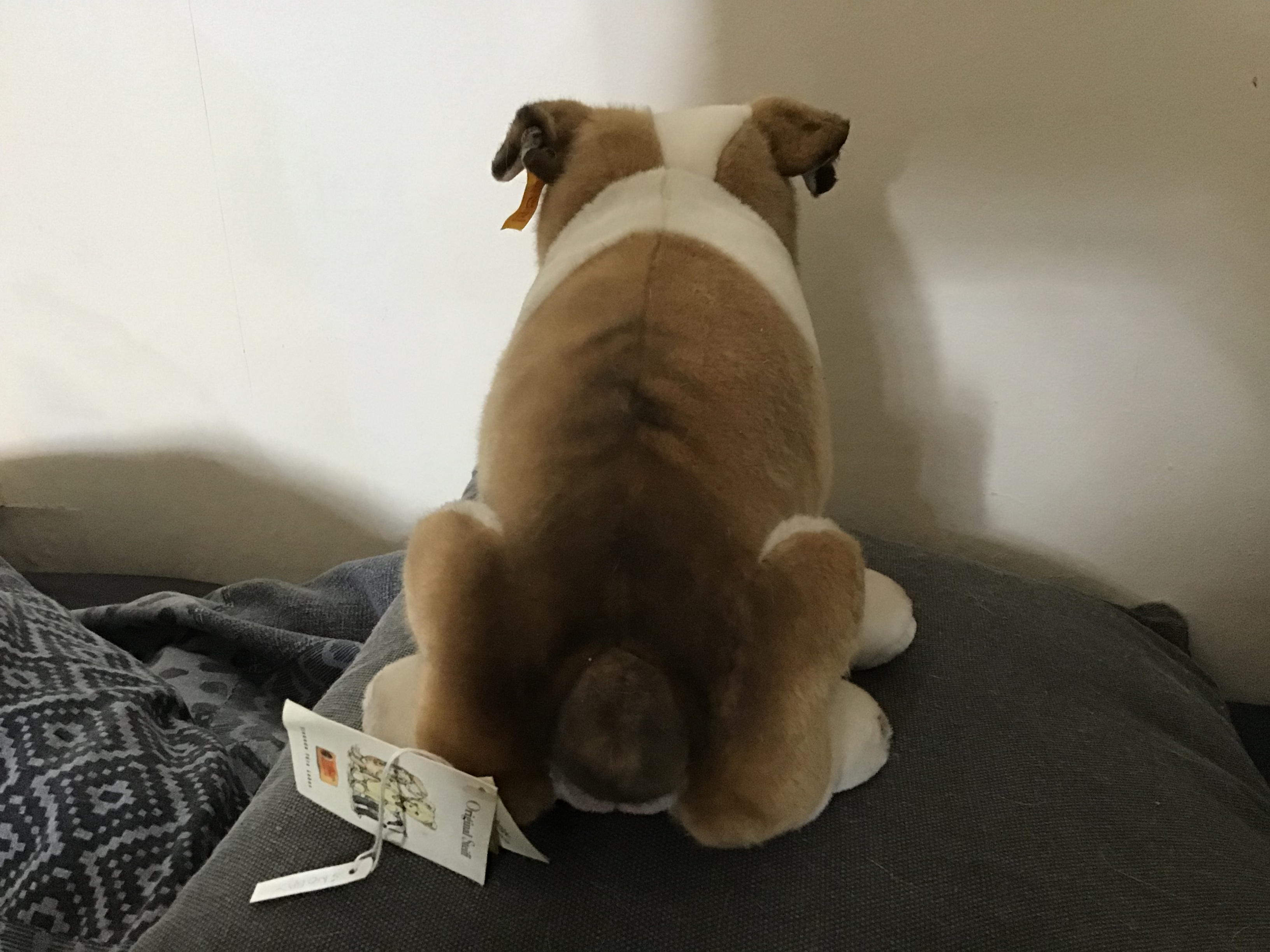 Steiff bulldog Steiff bulldog