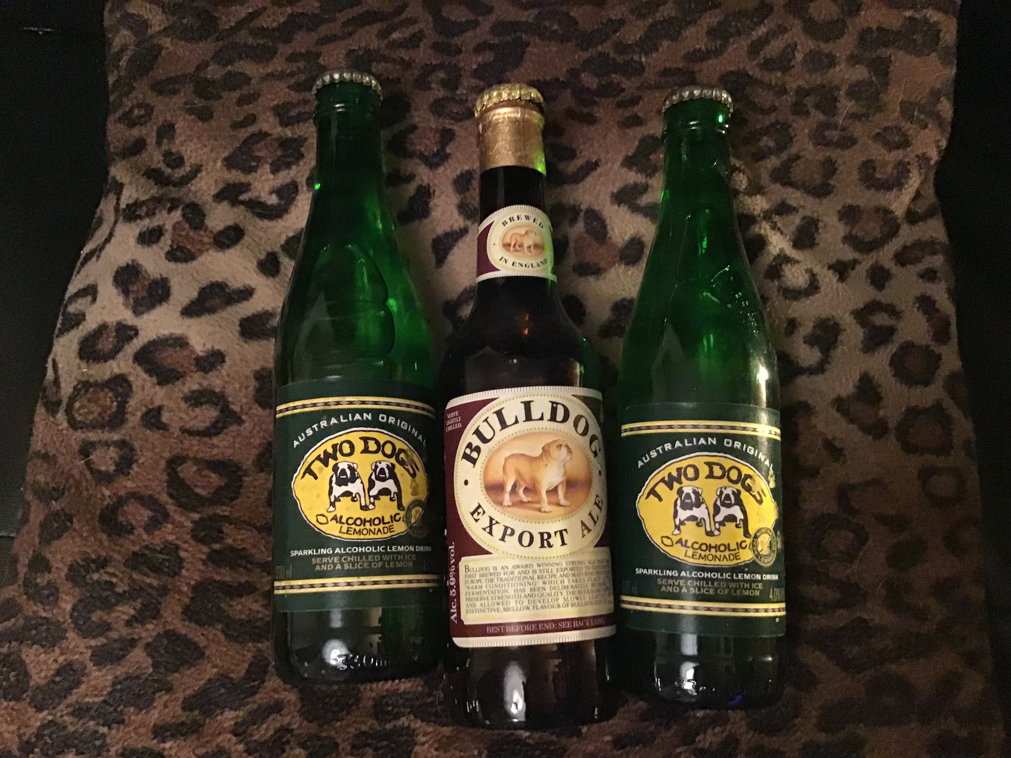 Bulldog Delivery Collectibulldogs Antiques 7 Bulldog delivery