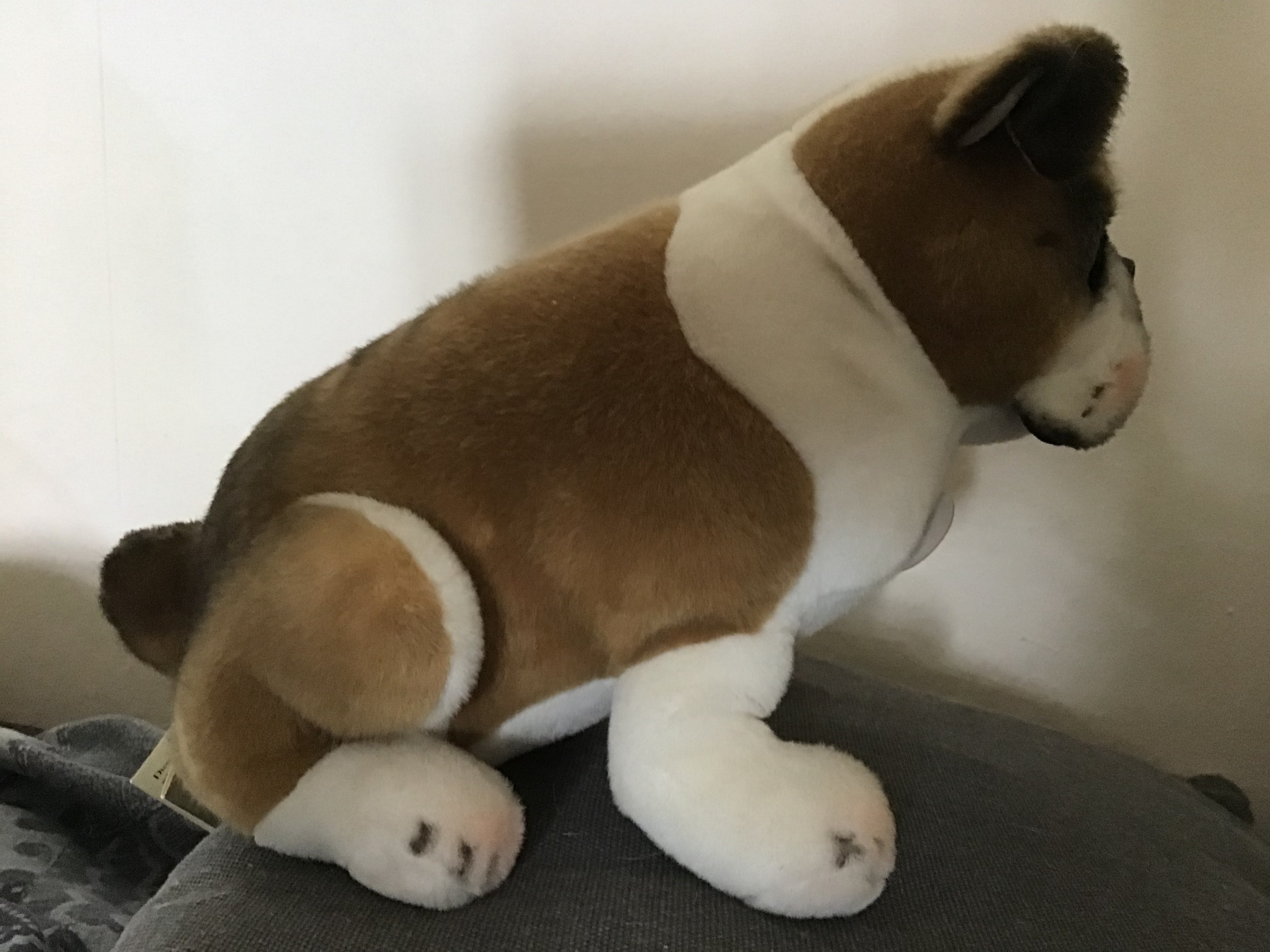 Steiff bulldog 