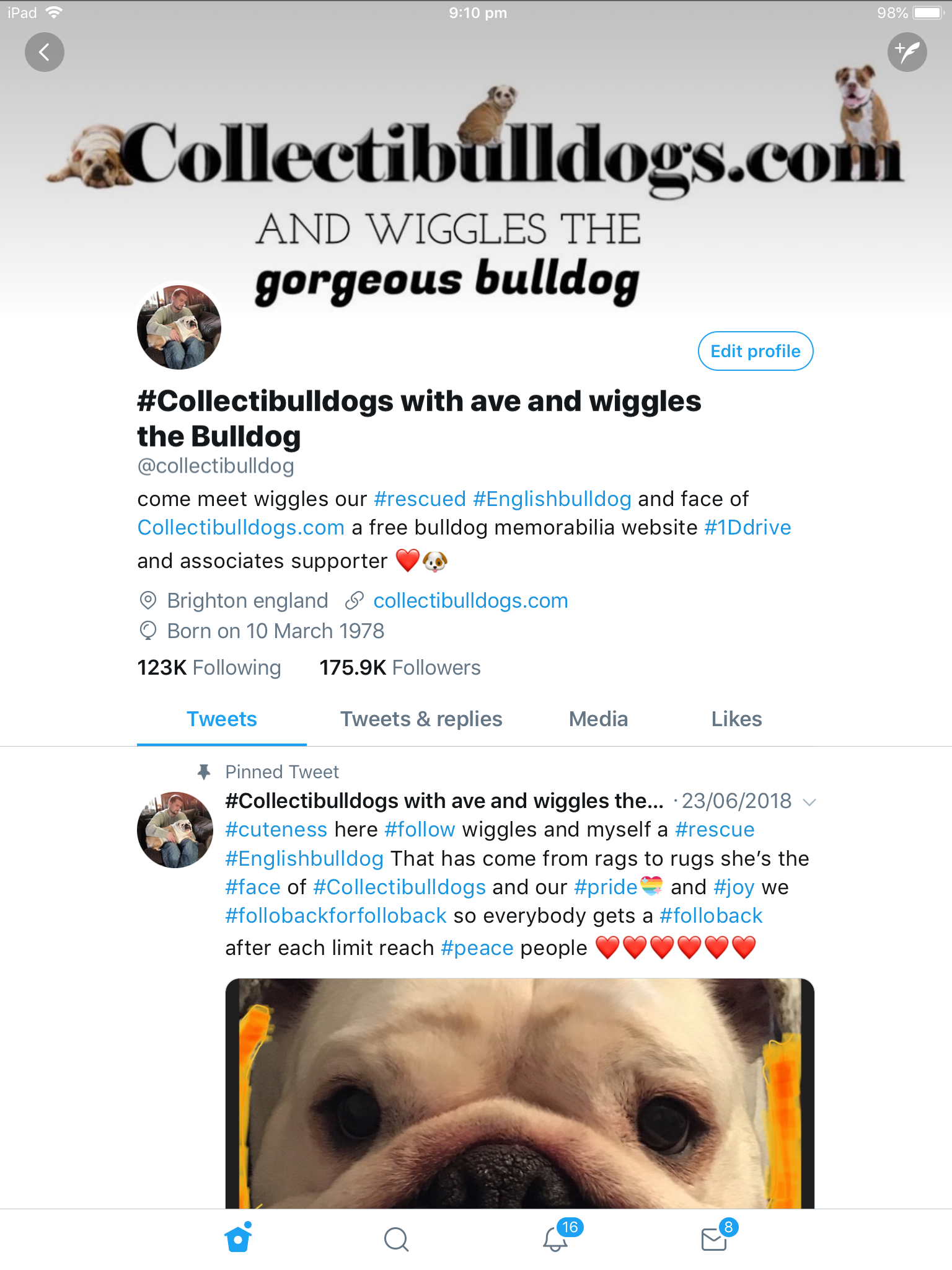 COLLECTIBULLDOGS ANTIQUES, TWITTER MILESTONE / NEW FEATURES 9 Twitter milestone