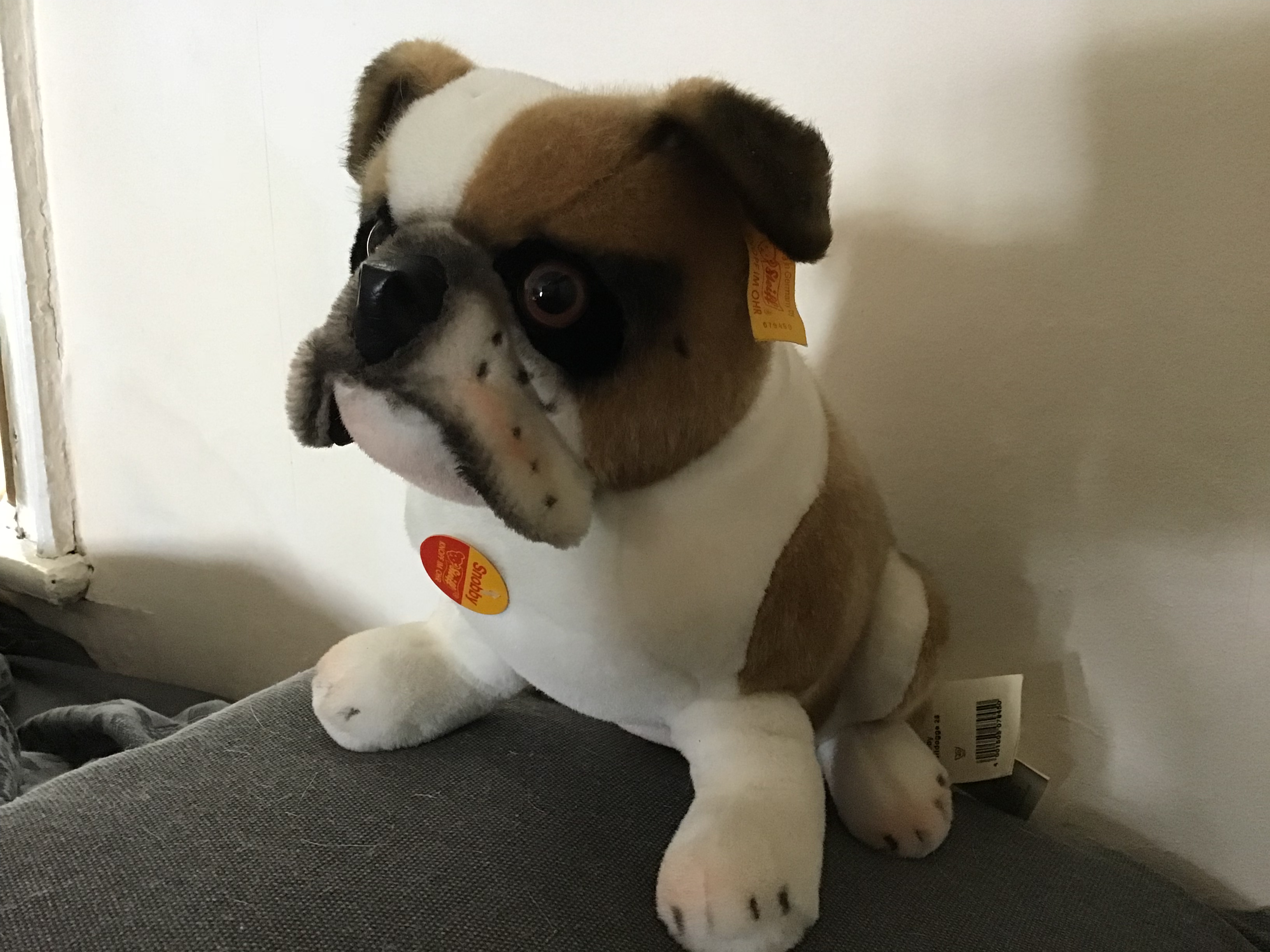 Steiff bulldog 