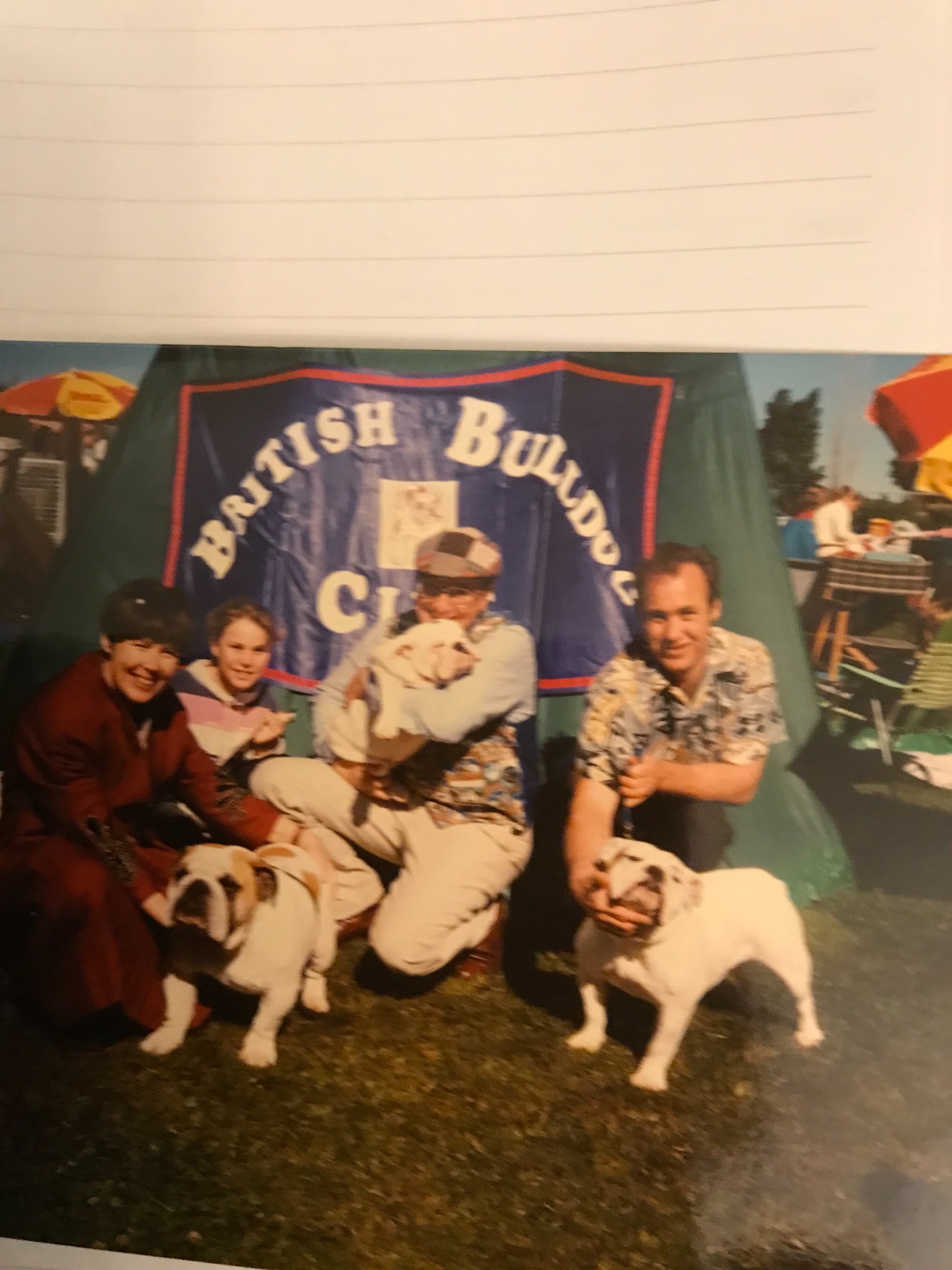 Our first British bulldog guest post story 6 British bulldog