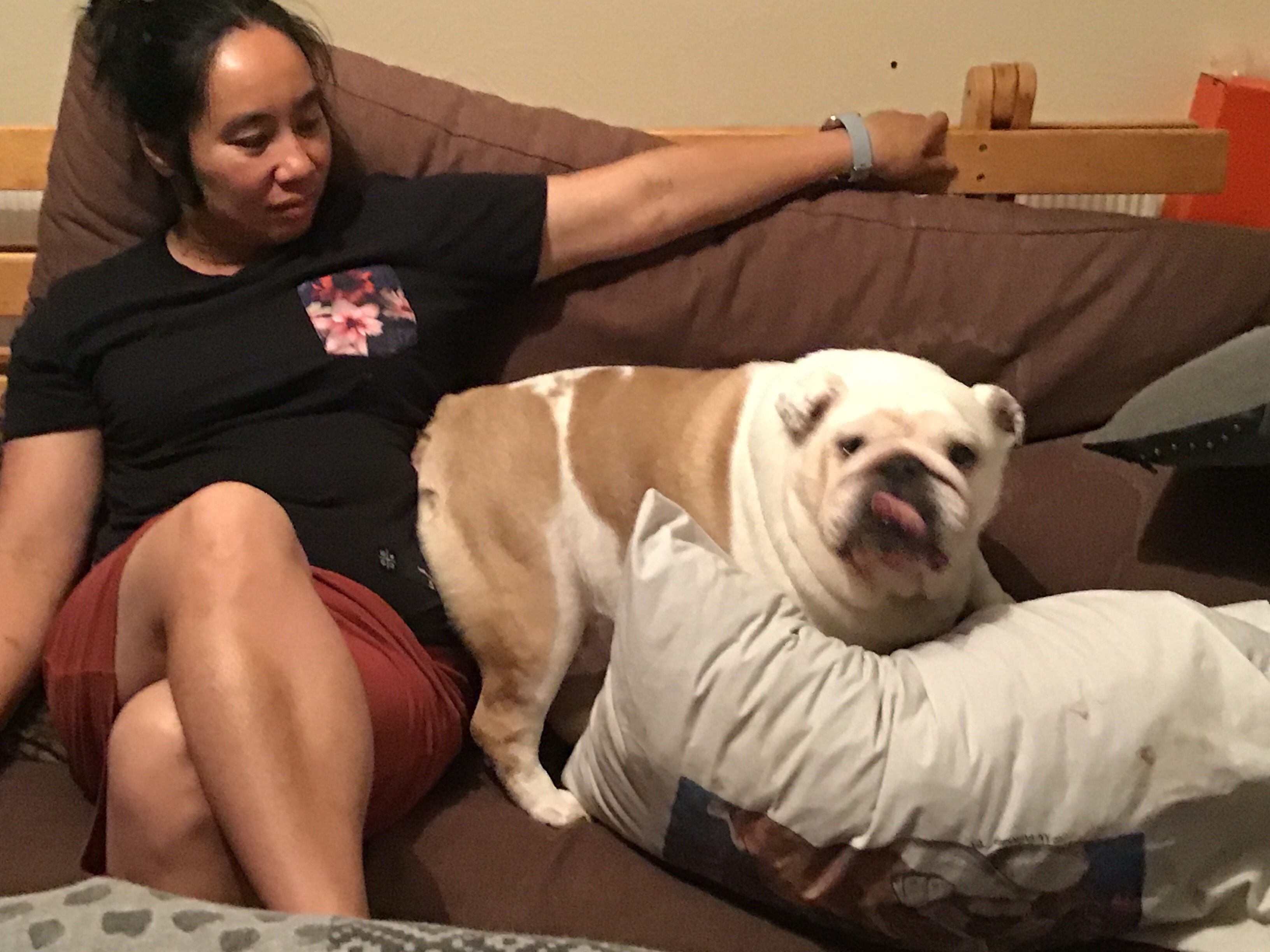 Collectibulldogs special wedding bells getting married 10 Married